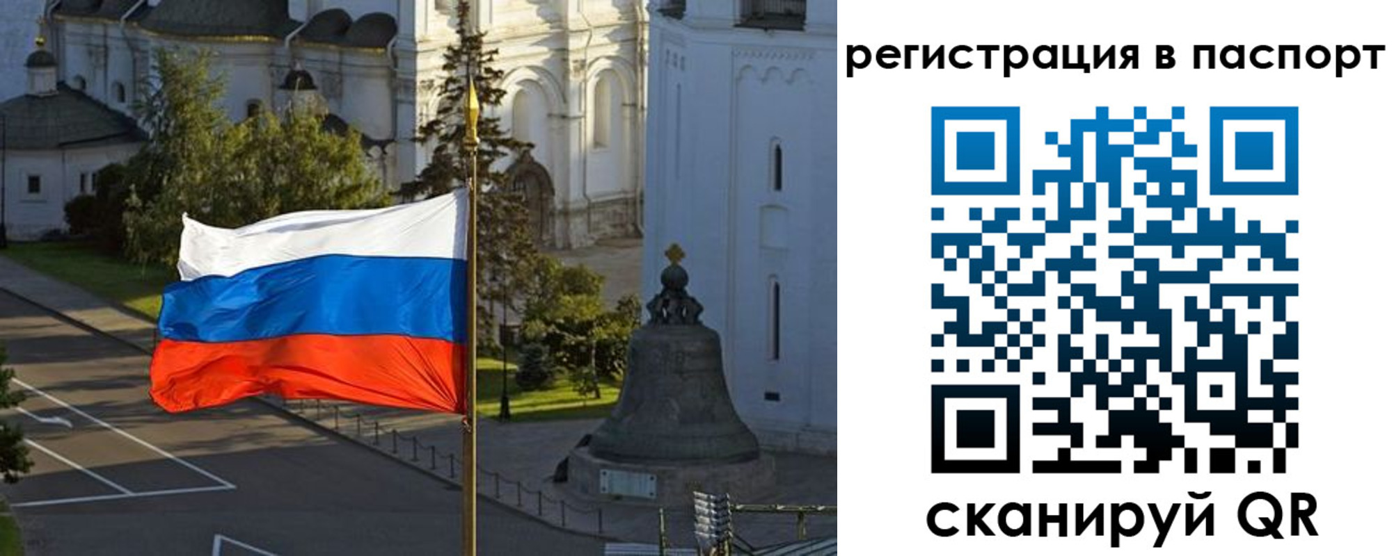 где прописаться в Кингисеппе